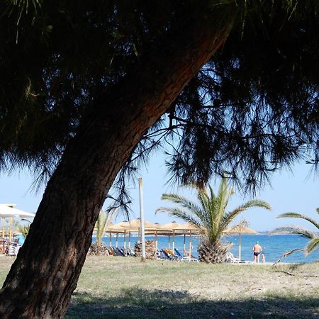 Sunshine Apartment Paralia Dionysiou Exterior photo