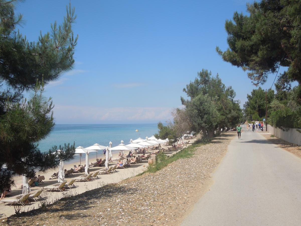 Sunshine Apartment Paralia Dionysiou Exterior photo