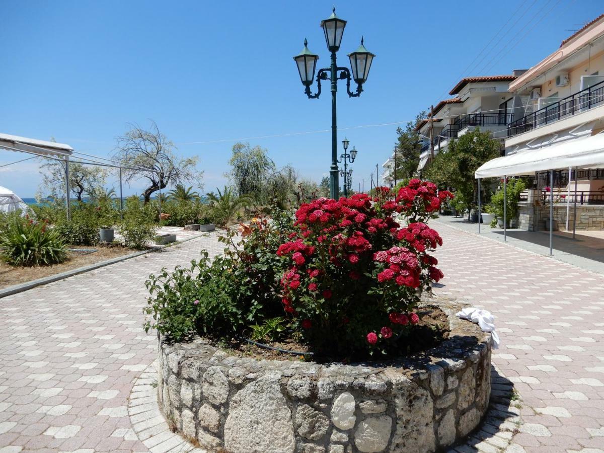 Sunshine Apartment Paralia Dionysiou Exterior photo
